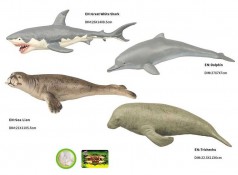 Морські тварини Q 9899-583, 4 види