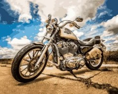 Алмазная мозаика на подрамнике 