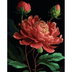 Картина за номерами на чорному фоні 