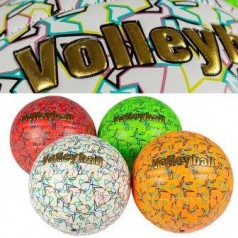 М'яч волейбол BT-VB-0080 PVC 300г 4кол./30/