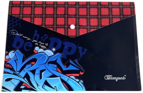 Папка з кнопкою А4+ Р0207