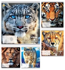 Тетрадь 24 арк.клітинка Тверда ТЕ41308 Котики, 20 шт. в уп. 