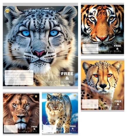 Тетрадь 24 арк.клітинка Тверда ТЕ41308 Котики, 20 шт. в уп. 