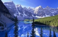 Алмазна мозаїка за номерами 40*50 