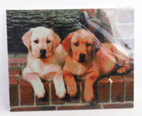 УЦЕНКА 30% Алмазна картина FA40157 