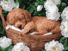 Набір для розпису по номерах Ідейка 