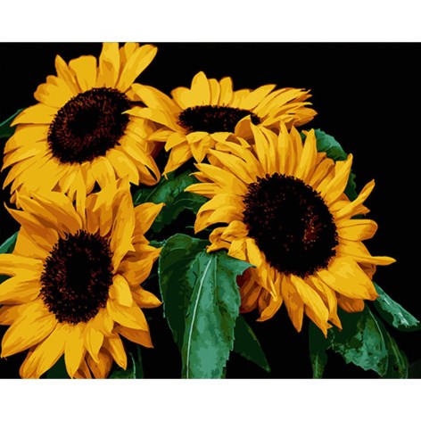 Картина за номерами на чорному фоні 