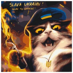 Картина за номерами: Котик повстанець ©Маріанна Пащук