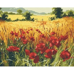 Картина за номерами "Поле" 40x50 см