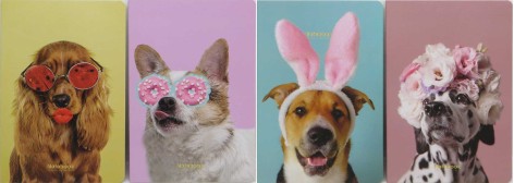 Блокнот А5/32арк. 