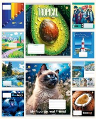 Тетрадь 24 л.линия Твердая ТЕ42301 Микс1, 20 шт. в уп. /320/, 10к.