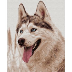 Картина по номерам: Сероманец