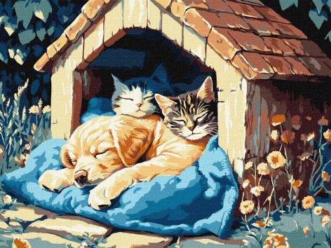 Набір для розпису по номерах Ideyka 