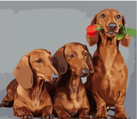 Набір для розпису по номерах Трійка такс Strateg розміром 40х50 см (GS924)