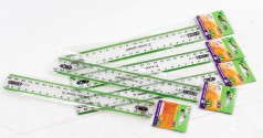 УЦІНКА 30% Лінійка 20см, з салатовою смужкою, блістер 12шт в упак. /20