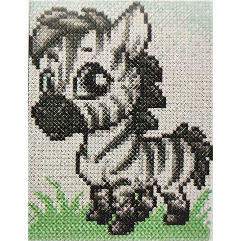 Алмазна мозаїка без підрамника 