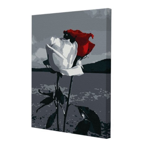 Картина за номерами Riviera Blanca Червоно-білий   40x50 см (RB-0253)