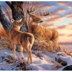 Алмазна мозаїка за номерами 74775EGA 40*50 