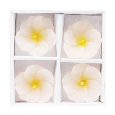 Набор свечей 