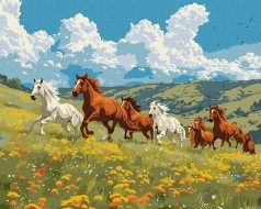 Набір для розпису по номерах 