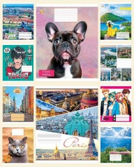 Тетрадь 24 л.линия Твердая ТЕ42302 Микс2, 20 шт. в уп. /320/, 10к.