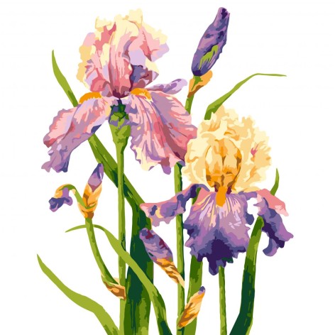 Картины по номерам, 40*50 см