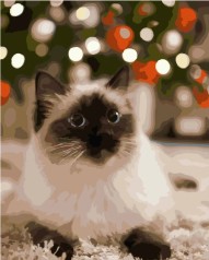 Набір для розпису по номерах Бірманська кішка Strateg розміром 40х50 см (GS223)