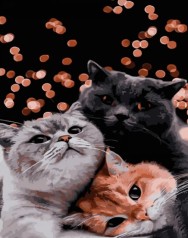 Набір для розпису по номерах Тріо британців Strateg розміром 40х50 см (GS1289)