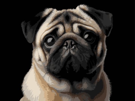 Картина по номерам Strateg 