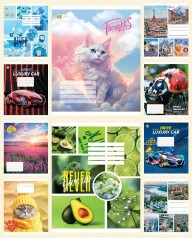 Тетрадь 24 л.линия Твердая ТЕ42303 Микс3, 20 шт. в уп. /320/, 10к.