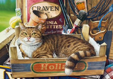 Пазлы Castorland 500 