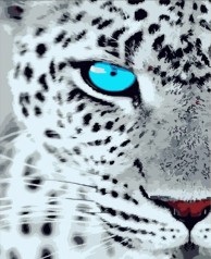 Набір для розпису по номерах Гепард з голубими очима Strateg розміром 40х50 см (HH018)