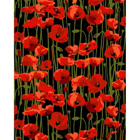 Картина за номерами Strateg "Макове поле" 40x50 см (AH1023)