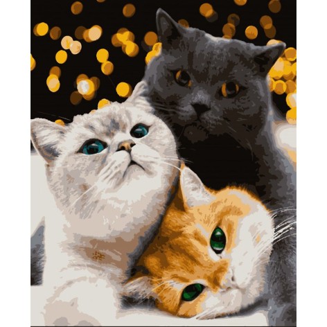 Картина за номерами 