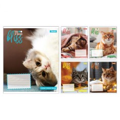 А5/12 кос. 1B Bliss, зошит учнівський шкільний, ціна за 25 шт. //