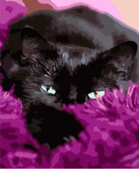 Набір для розпису по номерах Чорний котик в покривалі Strateg розміром 40х50 см (HH058)