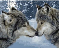 Картина по номерам VA-1651 "Поцілунок вовків", розміром 40х50 см