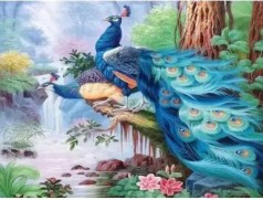 Алмазна мозаїка за номерами 40*50 