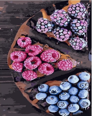 Набір для розпису по номерах Strateg 