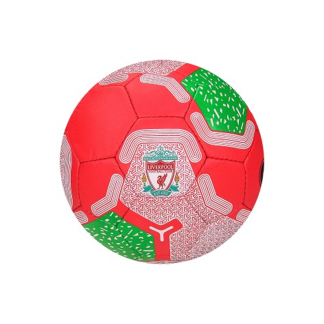 Мяч футбольный LIVERPOOL №5, 32 панели FP082