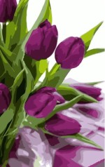 Набор для росписи по номерам Фиолетовые тюльпаны Strateg размером 50х25 см (WW016)