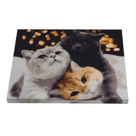 Картина за номерам Riviera Blanca "Вечірка" 40x50 см 24 кольори (RB-0295)