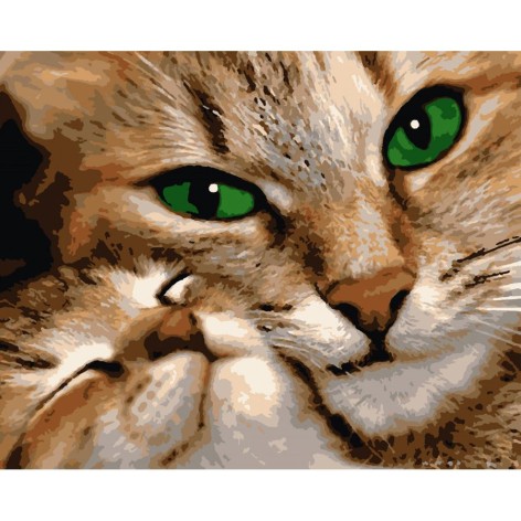 Картина за номерами 