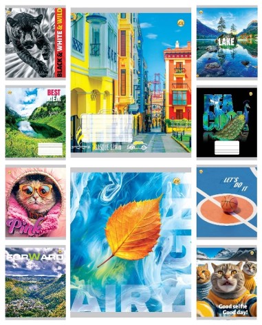 Зошит 48 арк. лінія Люкс ТА12555 Мікс 1, 10/200 10к. ціна за 10 шт.