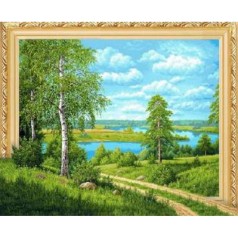 Алмазна мозаїка за номерами 0511LTE 40*50 об'ємна 