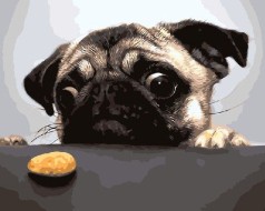 Картина за номерами 