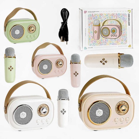 Караоке 4 вида, bluetooth, микрофон, подсветка, от аккумулятора/сети, type-c, TF-карта, в коробке, МИКС /40/