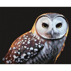 Картина за номерами 