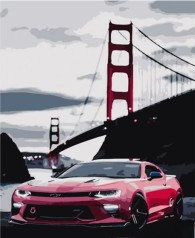 Набір для розпису по номерах Ягуар на фоні мосту Strateg розміром 40х50 см (HH032)