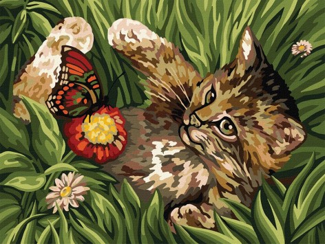 Картина по номерам "Котенок"